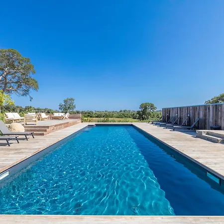 A0 Magnifique Appt 6 Personnes Lofts De St Lucie Zonza
